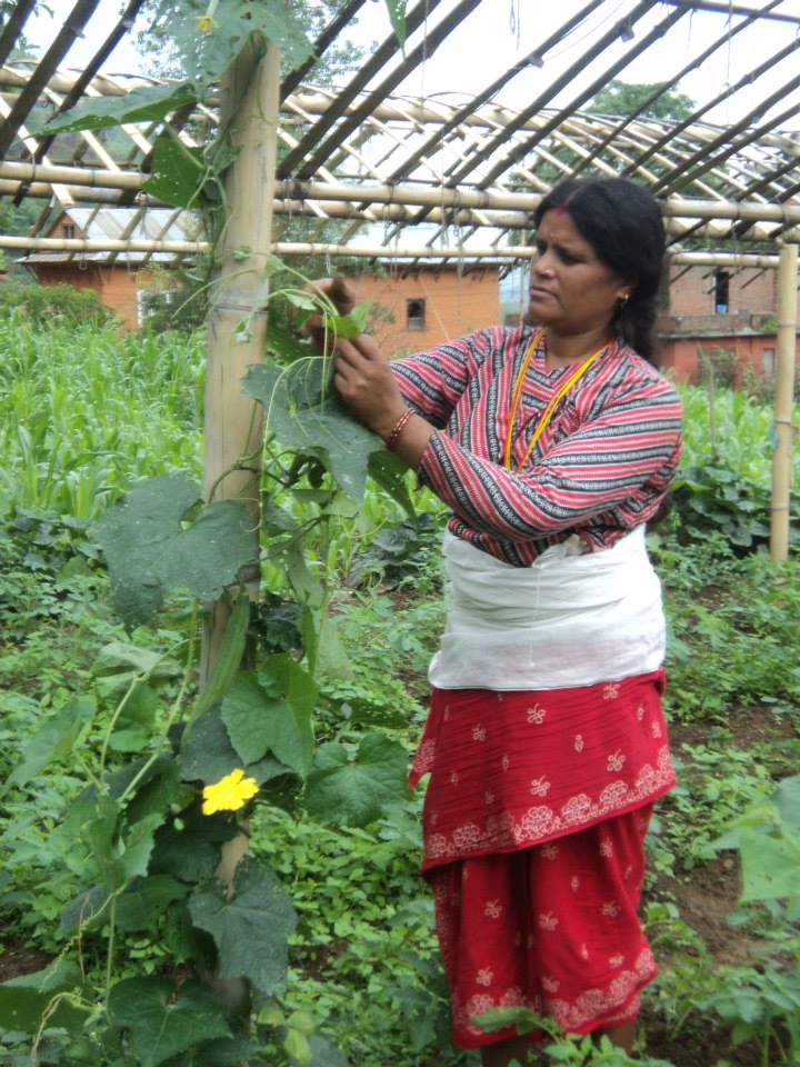 494277040 2758077291042586 8461816483142655194 n