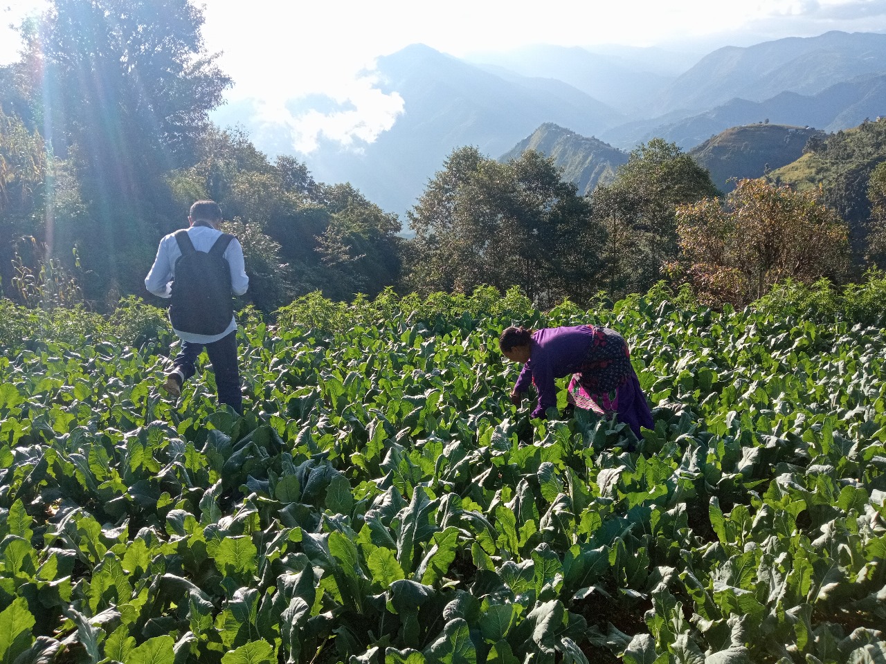 Home whatsapp image 2025 12 08 at 19.58.01