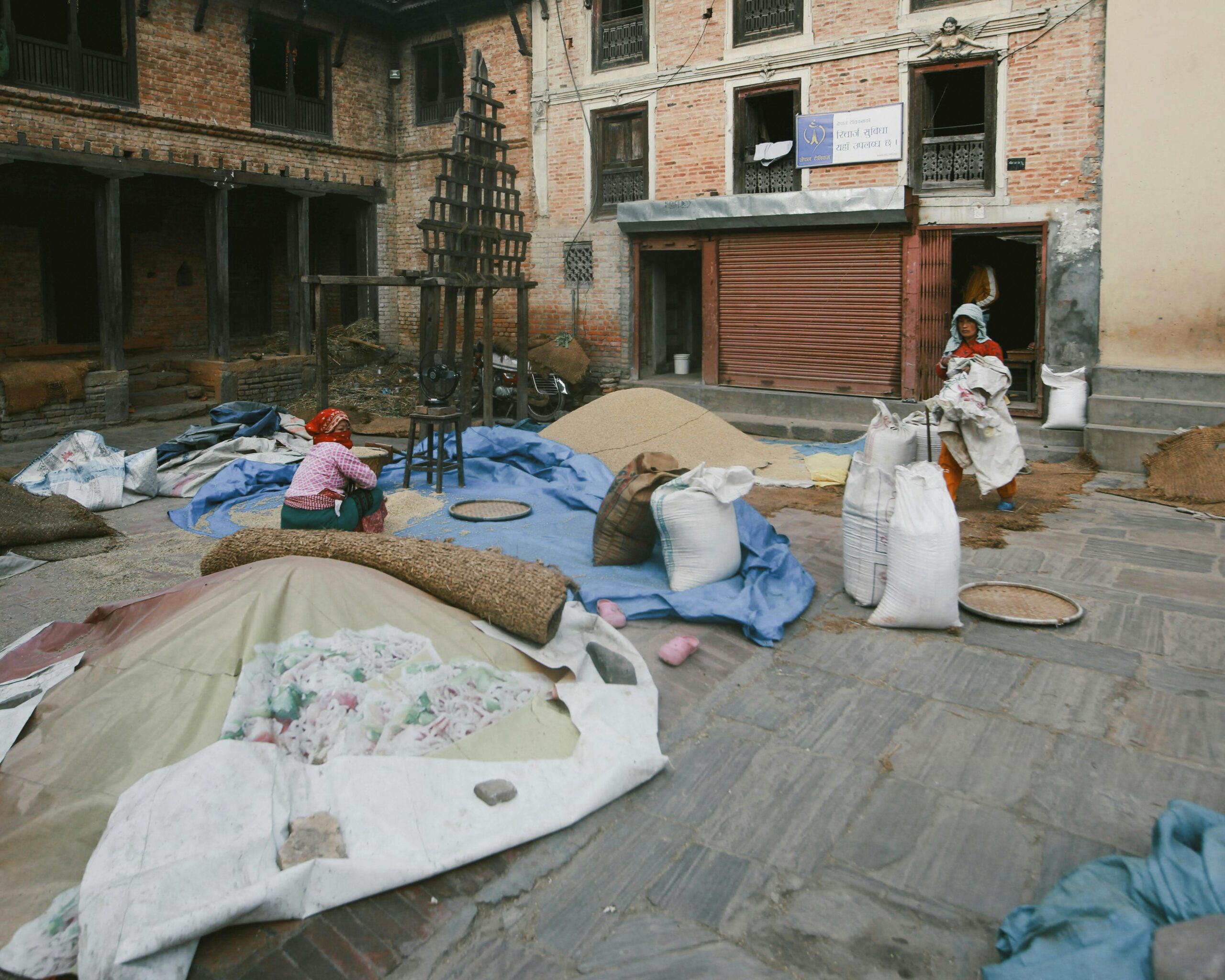 Our Areas Women at a traditional village market sorting cereals and grains outdoors.